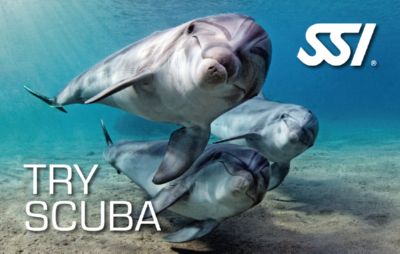 Iniciación al buceo o bautizo en Menorca
